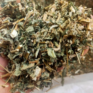 倒扣草粗毛牛膝牛舌大黄货好量大纯干新货