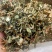 倒扣草粗毛牛膝牛舌大黄货好量大纯干新货