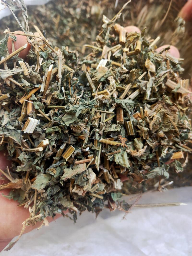 倒扣草粗毛牛膝牛舌大黄货好量大纯干新货
