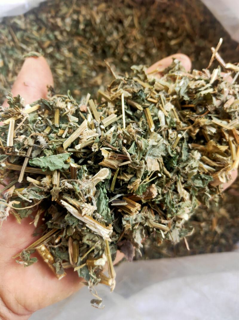 倒扣草粗毛牛膝牛舌大黄货好量大纯干新货