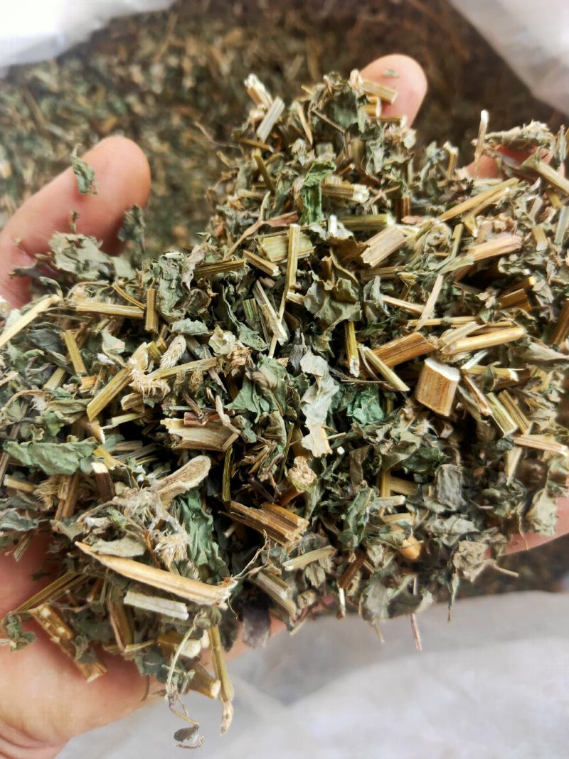 倒扣草粗毛牛膝牛舌大黄货好量大纯干新货