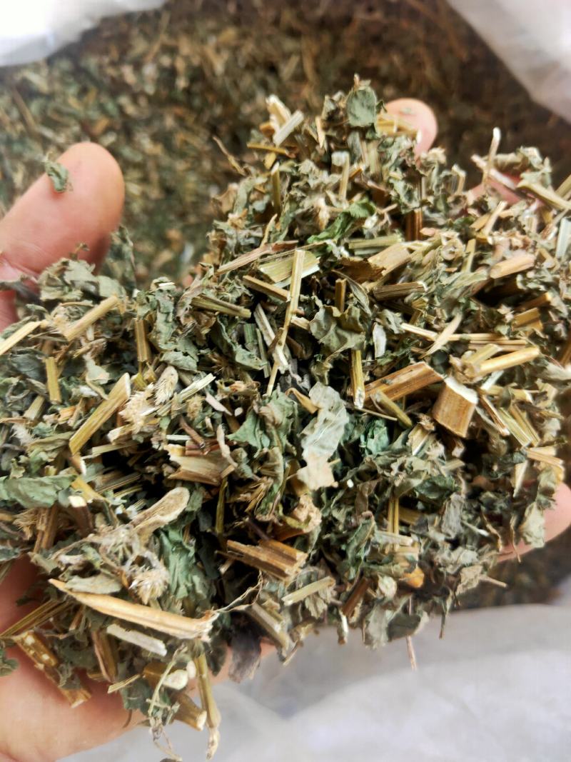 倒扣草粗毛牛膝牛舌大黄货好量大纯干新货