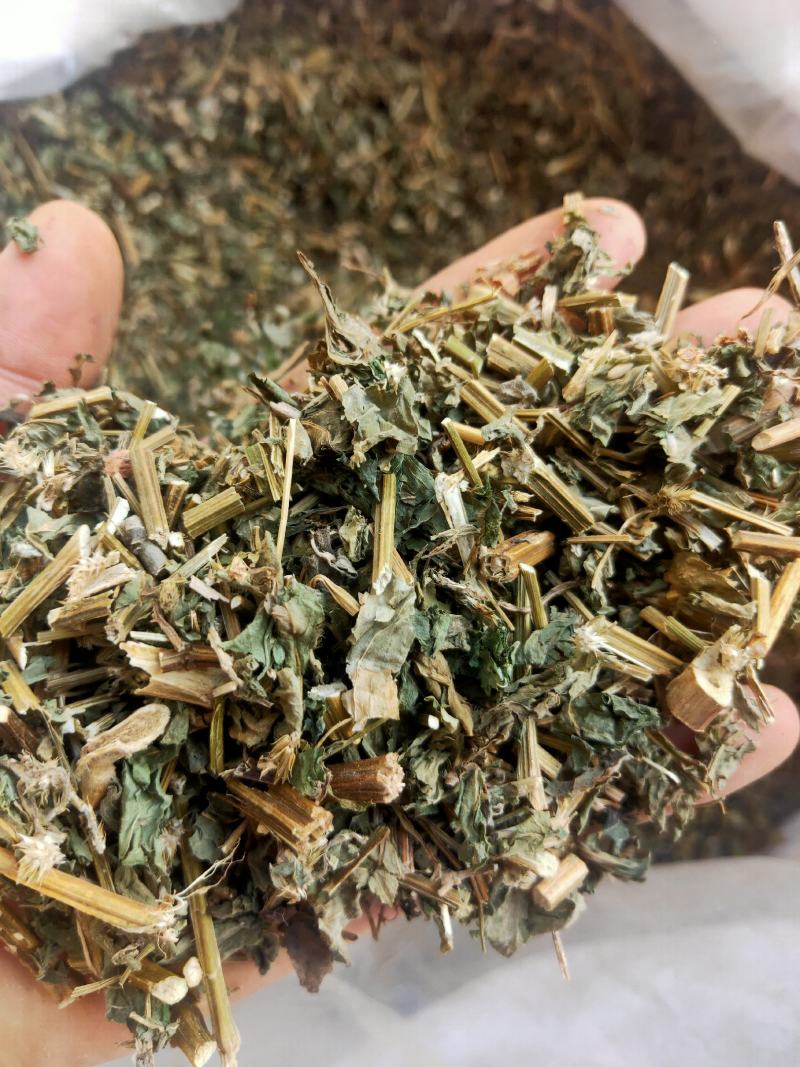 倒扣草粗毛牛膝牛舌大黄货好量大纯干新货