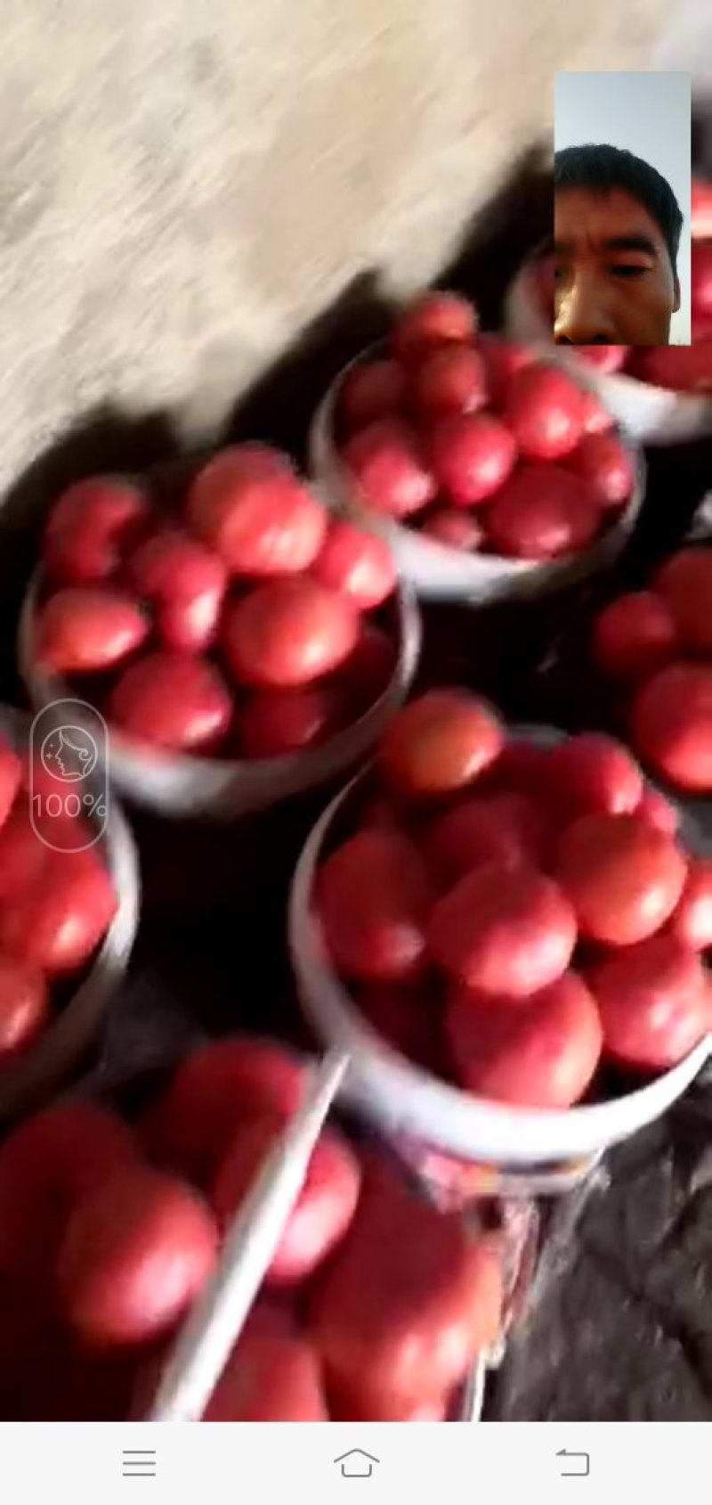 优质硬粉柿孑