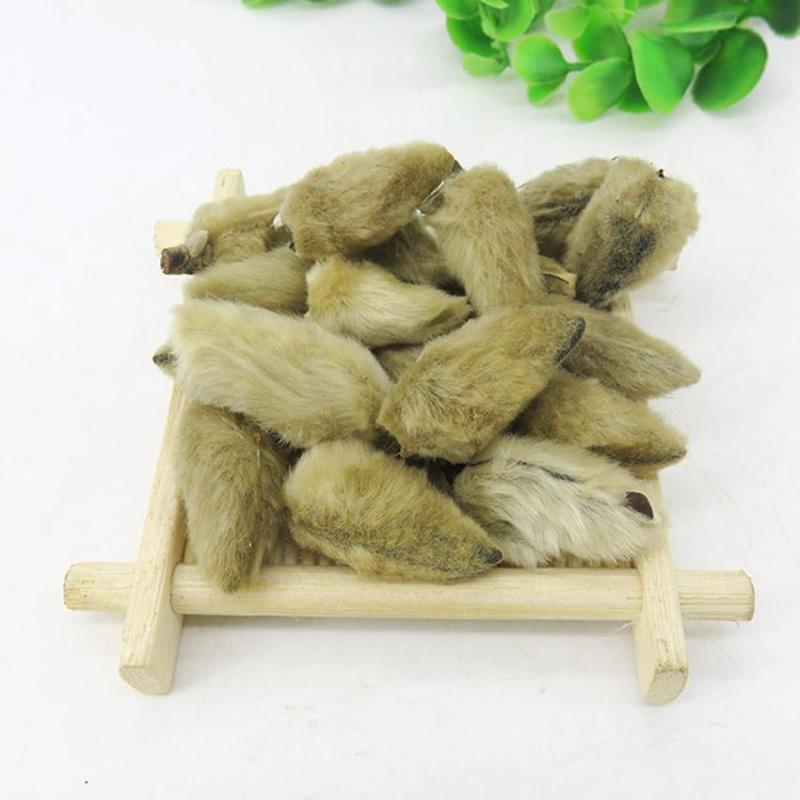 辛夷花，常年批发供应各种规格辛夷花，量大从优