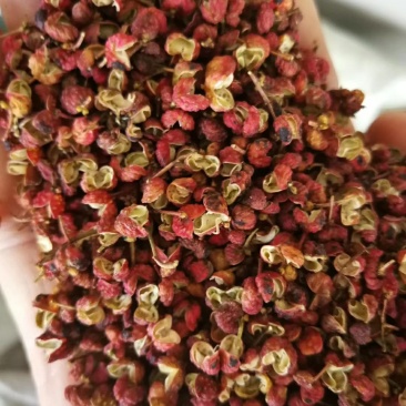 大红袍花椒，干，今年的新花椒，去籽的净货。包邮