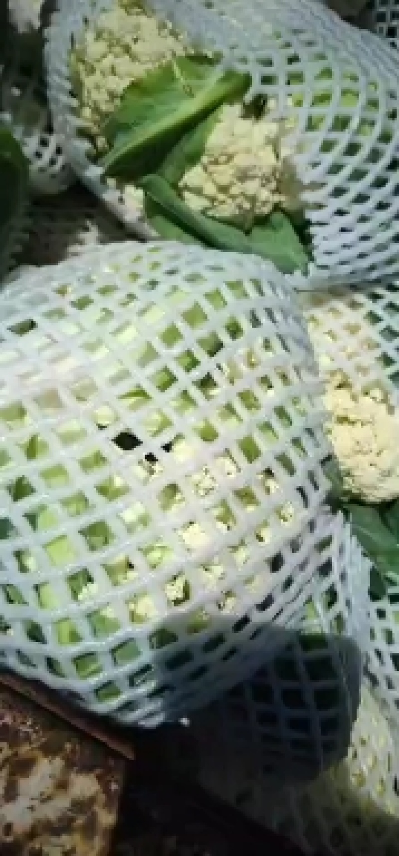 内蒙菜花青梗散花有机花菜80天