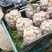 甘肃精品土豆量大质优产地直供欢迎来电咨询洽谈