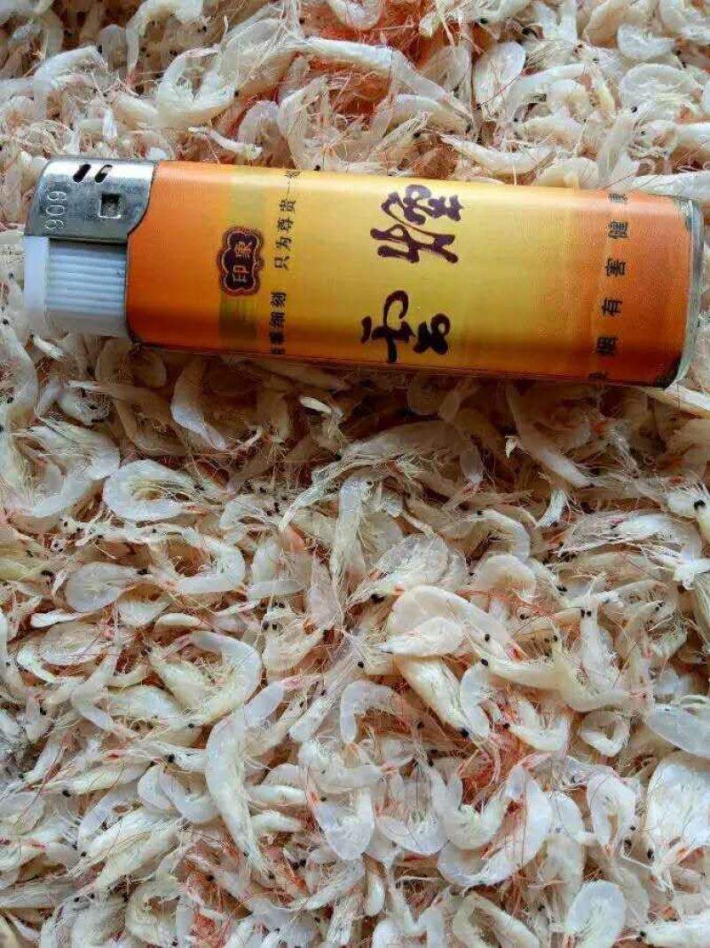 虾皮，渤海湾虾皮，毛虾，一手货源，量大从优