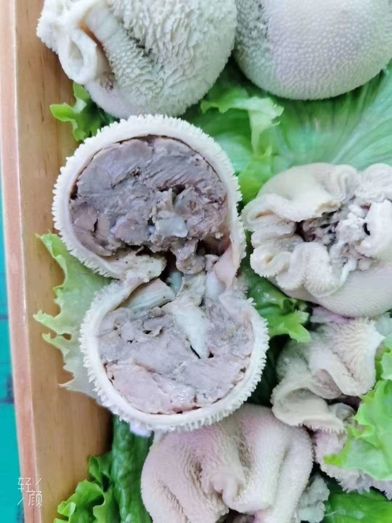 羊肚包脑羊肚包肉大量现货