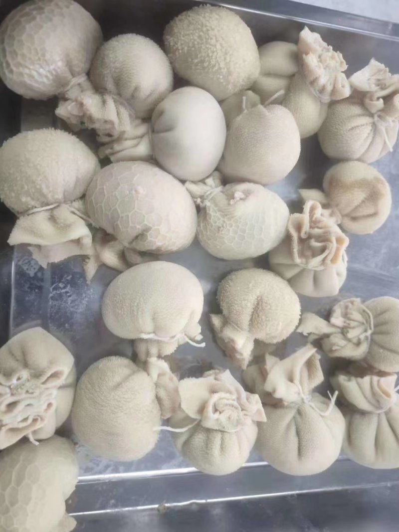 羊肚包脑羊肚包肉大量现货
