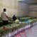 精品长豆角产地发货冷库泡冰水冰砖碎冰齐全