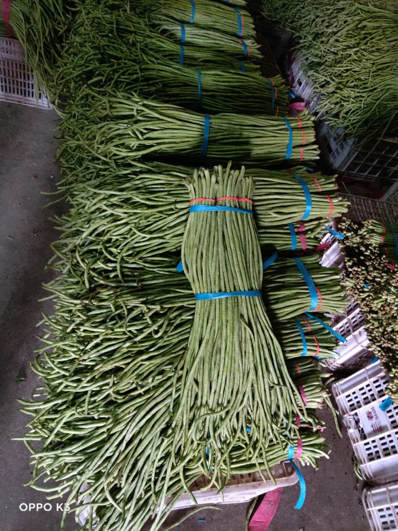 精品长豆角产地发货冷库泡冰水冰砖碎冰齐全