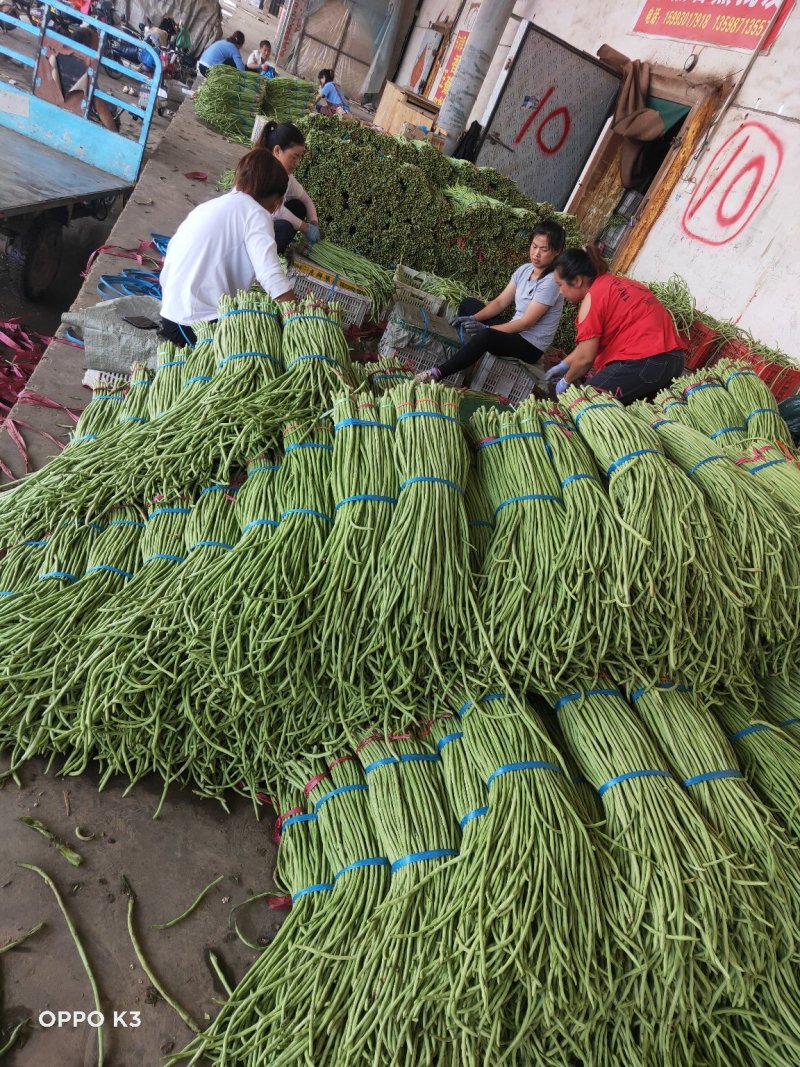 精品长豆角产地发货冷库泡冰水冰砖碎冰齐全