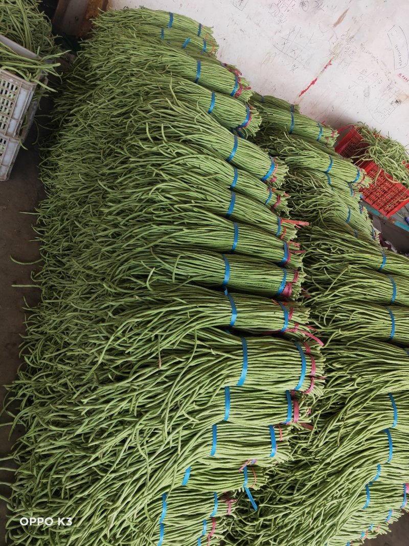 精品长豆角产地发货冷库泡冰水冰砖碎冰齐全