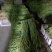 精品长豆角产地发货冷库泡冰水冰砖碎冰齐全
