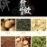 蒲公英茶苦丁茶清热瘦肚金银花袋泡茶苦瓜茶一件代发