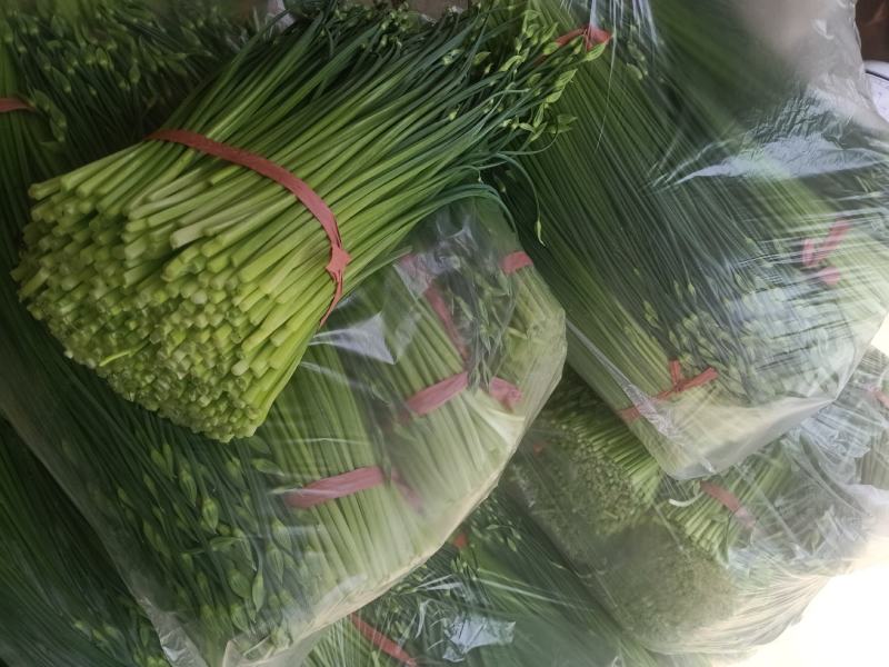 今年韭苔已陆续上市，有需要的新老朋友，前来选购，价格随行