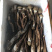 鸡枞菌，黑皮独鸡枞！提前预定