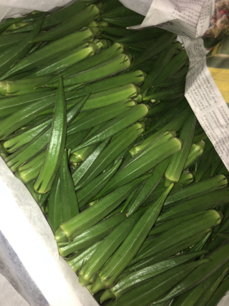 杭州市专业代卖精品黄秋葵，条子直，颜色翠绿，细小嫩绿