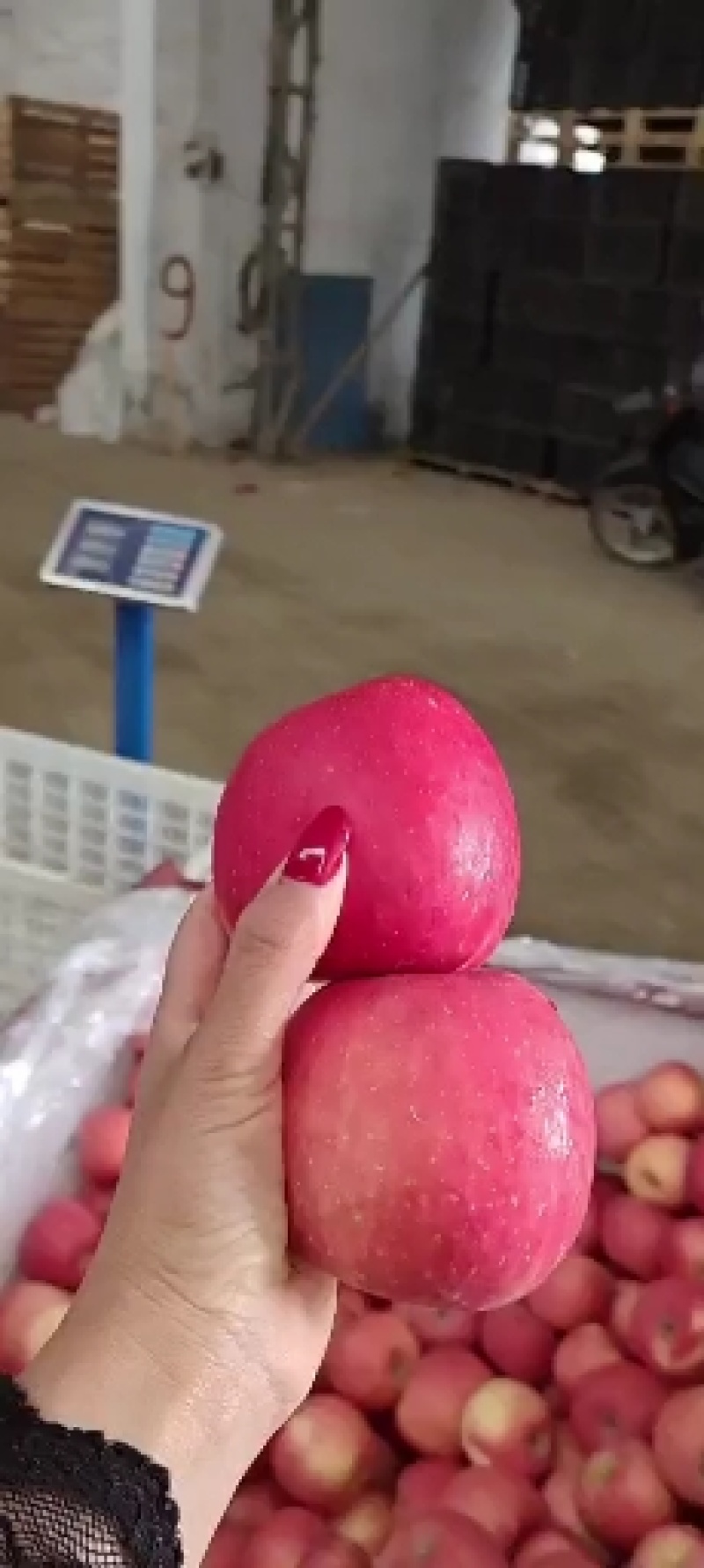 美八苹果产地直销质量好规格齐全商超精品属于低价好货