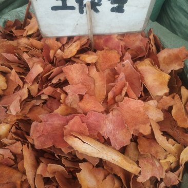 土茯苓～新货～1公斤起售质量好欢迎咨询采购
