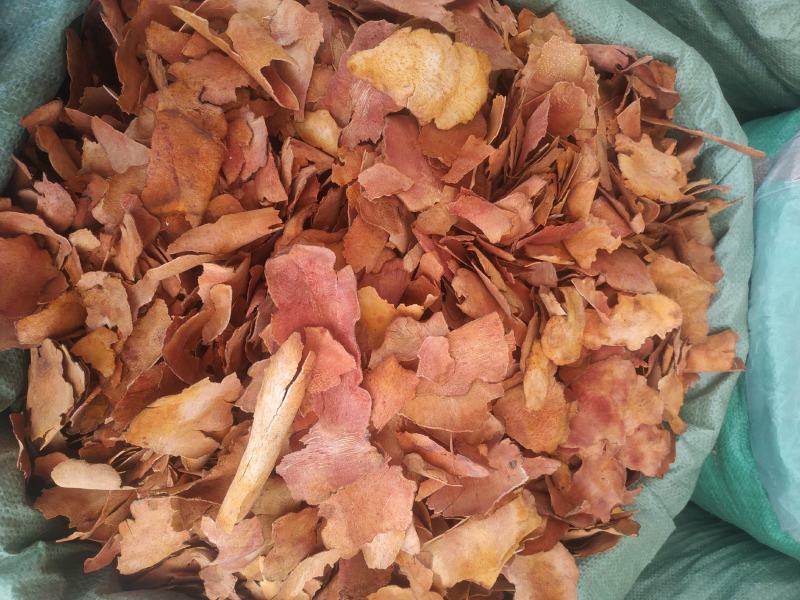 土茯苓～新货～1公斤起售质量好欢迎咨询采购