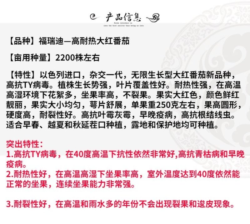 大红番茄种子福瑞迪石头果西红柿种子红色硬果番茄