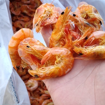 烤虾