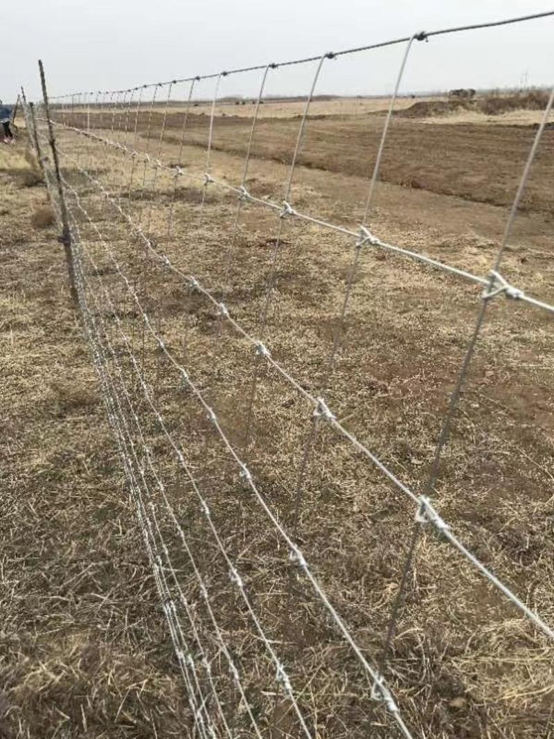 防冻厂家供应防护护栏网热镀锌牛栏网草原畜牧养殖铁丝围