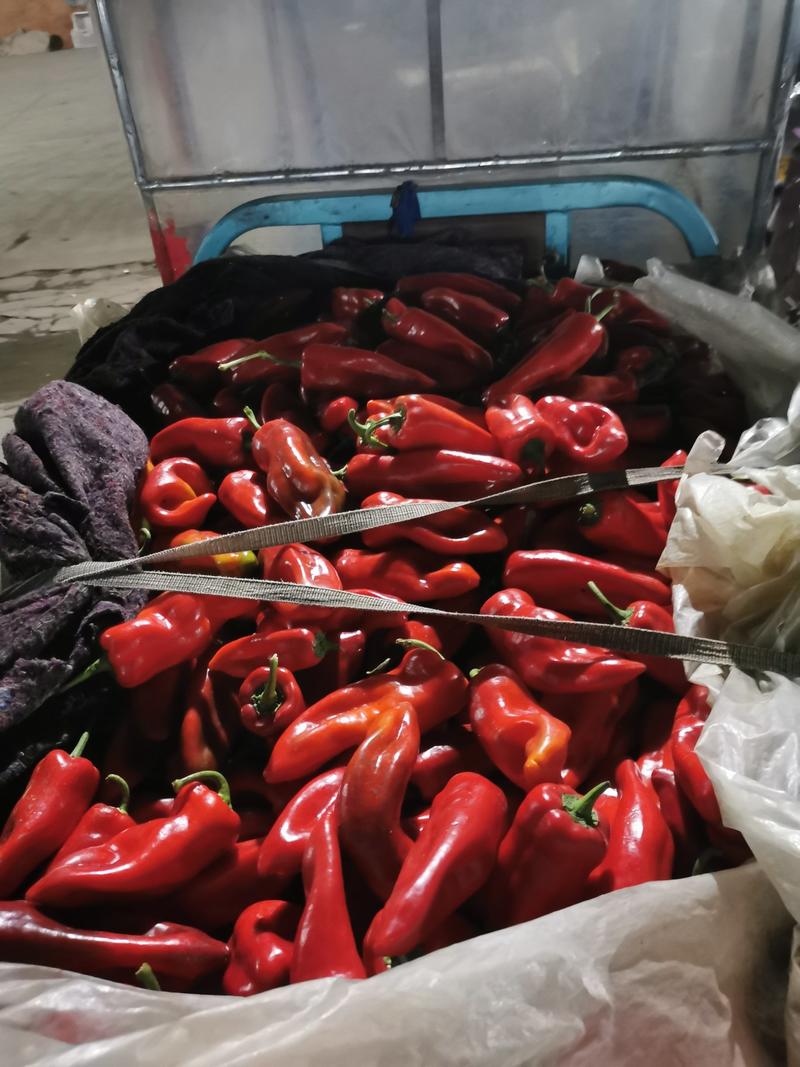 红泡椒山东鲁南精品红泡椒产地直发大量供应