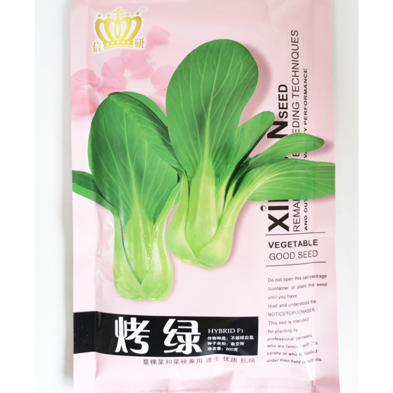 烤青德高耐热耐湿青梗菜青菜种子好吃青菜种子高温不拔节