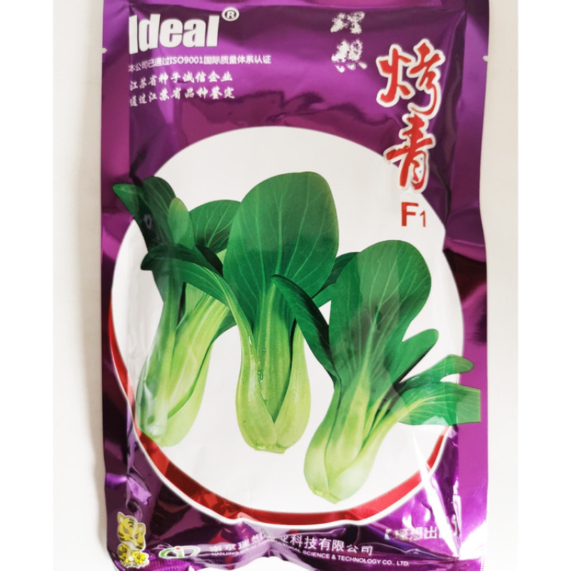 烤青德高耐热耐湿青梗菜青菜种子好吃青菜种子高温不拔节