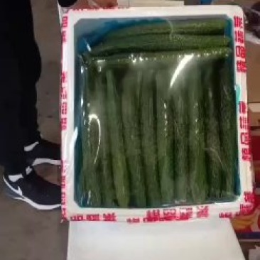 黄瓜