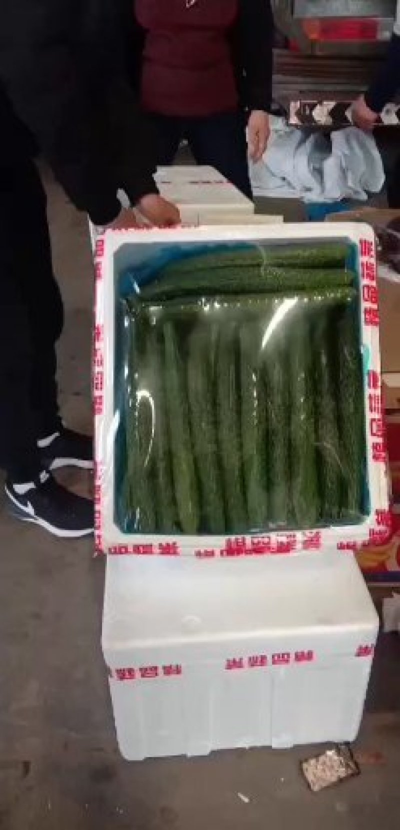 黄瓜