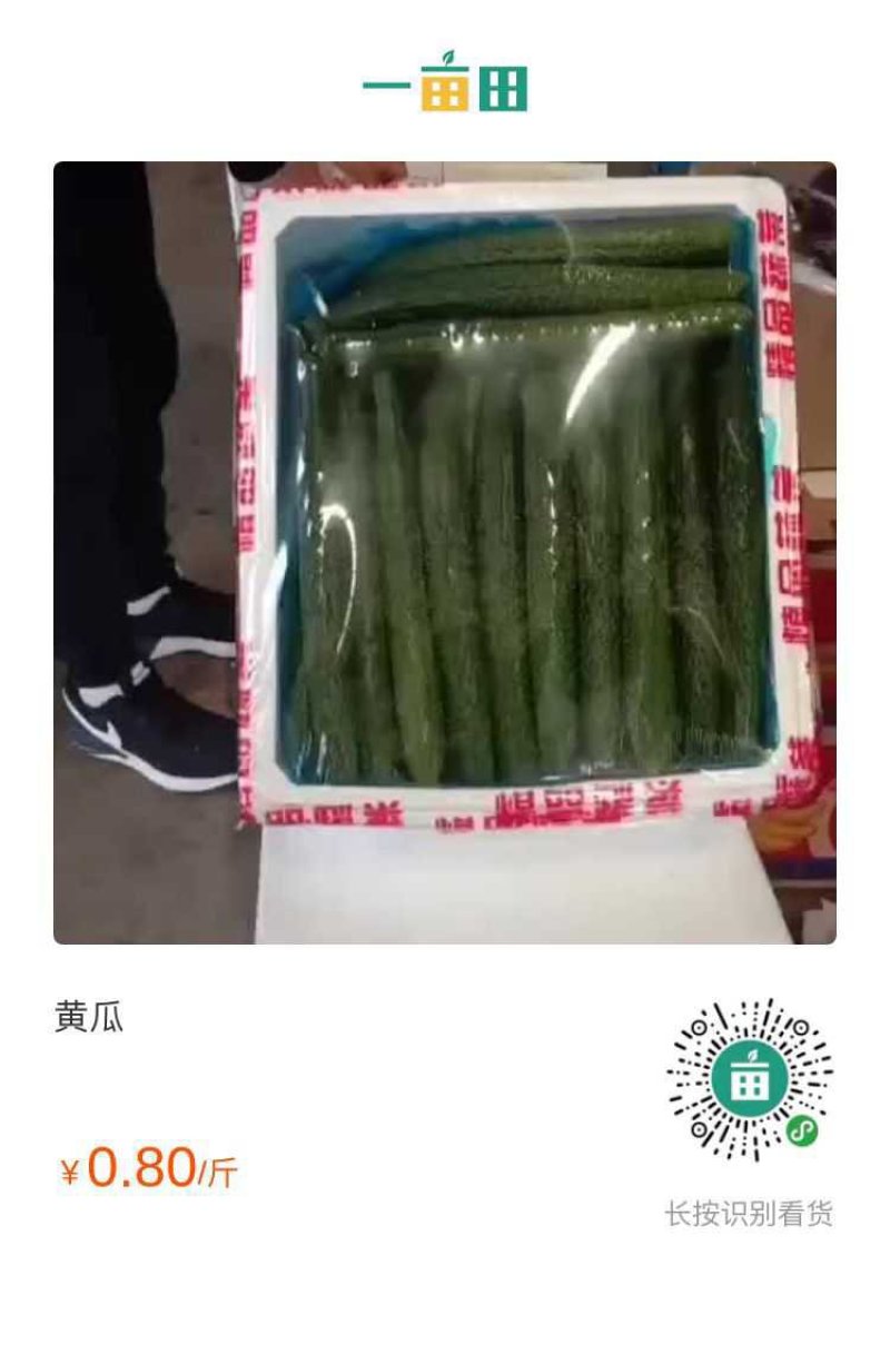 黄瓜