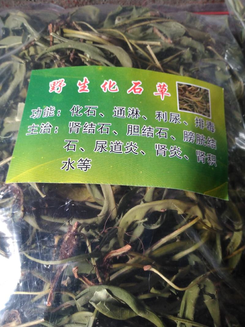 【精品】云南中药化石草，猫须草，肾精茶，自然风干