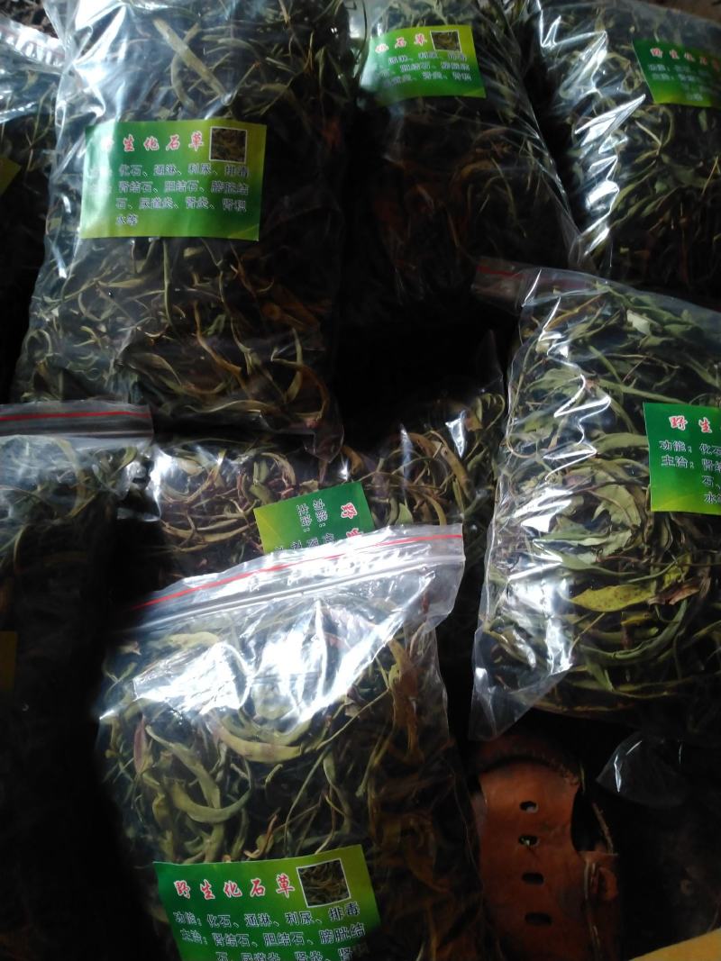 【精品】云南中药化石草，猫须草，肾精茶，自然风干