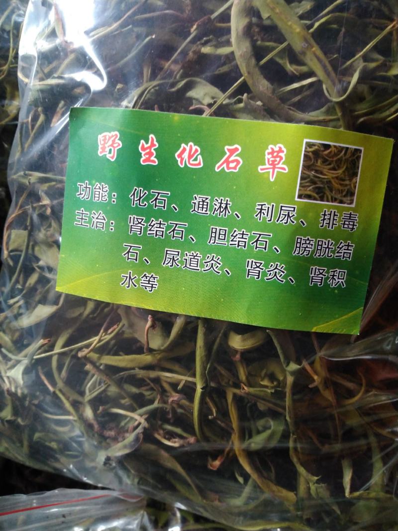 【精品】云南中药化石草，猫须草，肾精茶，自然风干