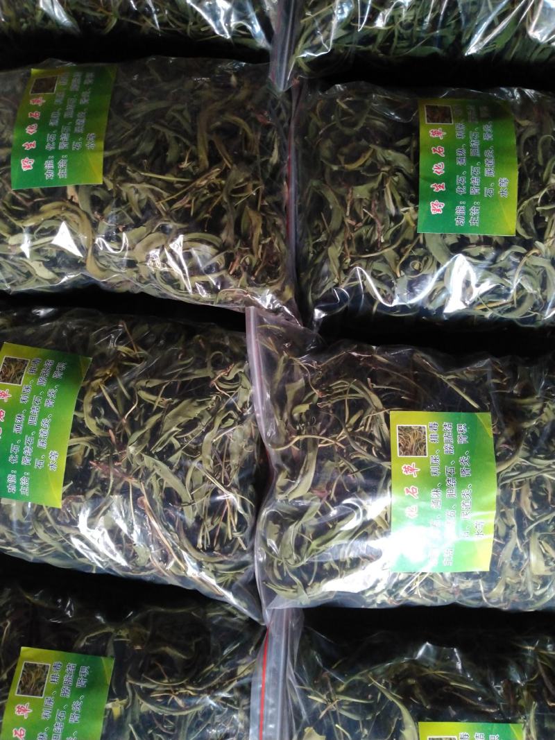 【精品】云南中药化石草，猫须草，肾精茶，自然风干