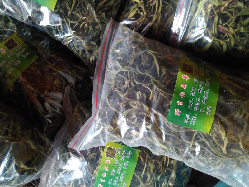 【精品】云南中药化石草，猫须草，肾精茶，自然风干