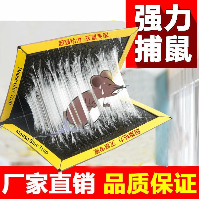 超强力粘鼠板捉抓粘大老鼠贴驱胶药灭捕鼠神器正品家用一窝端