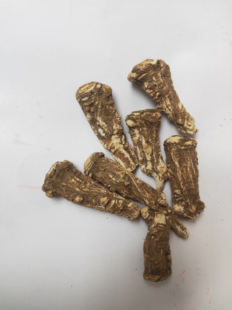 当归头甘肃岷县产地直供精选优质当归头