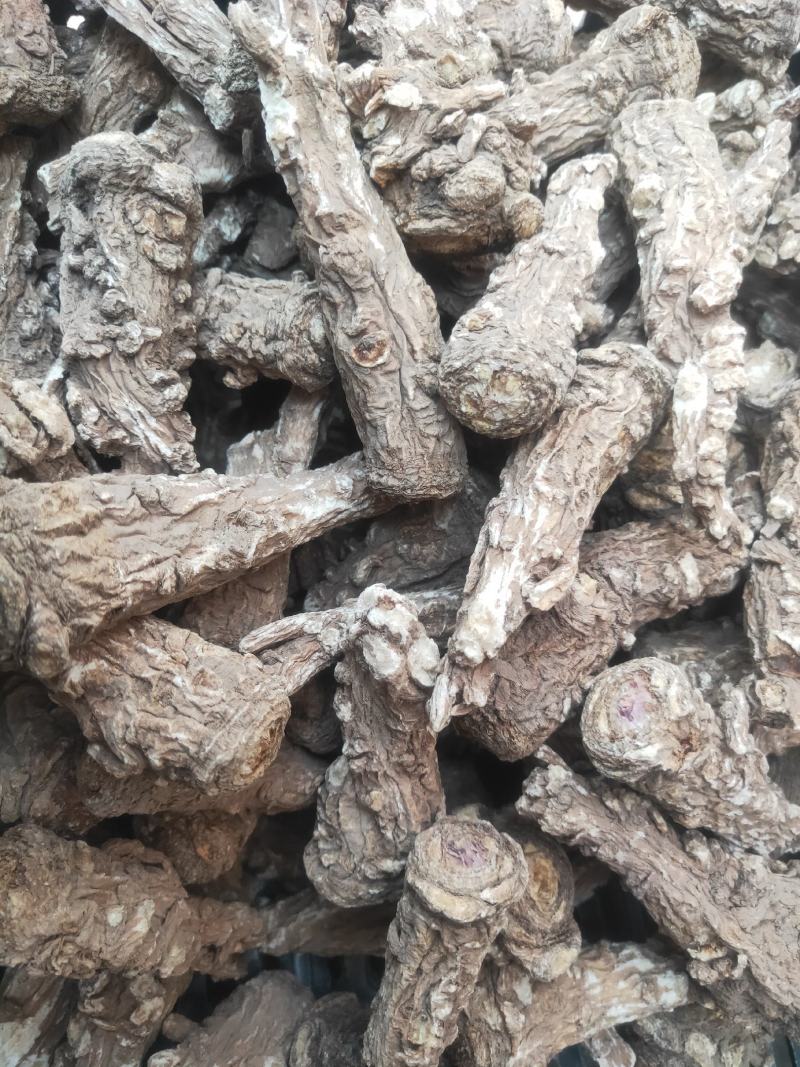 当归头甘肃岷县产地直供精选优质当归头