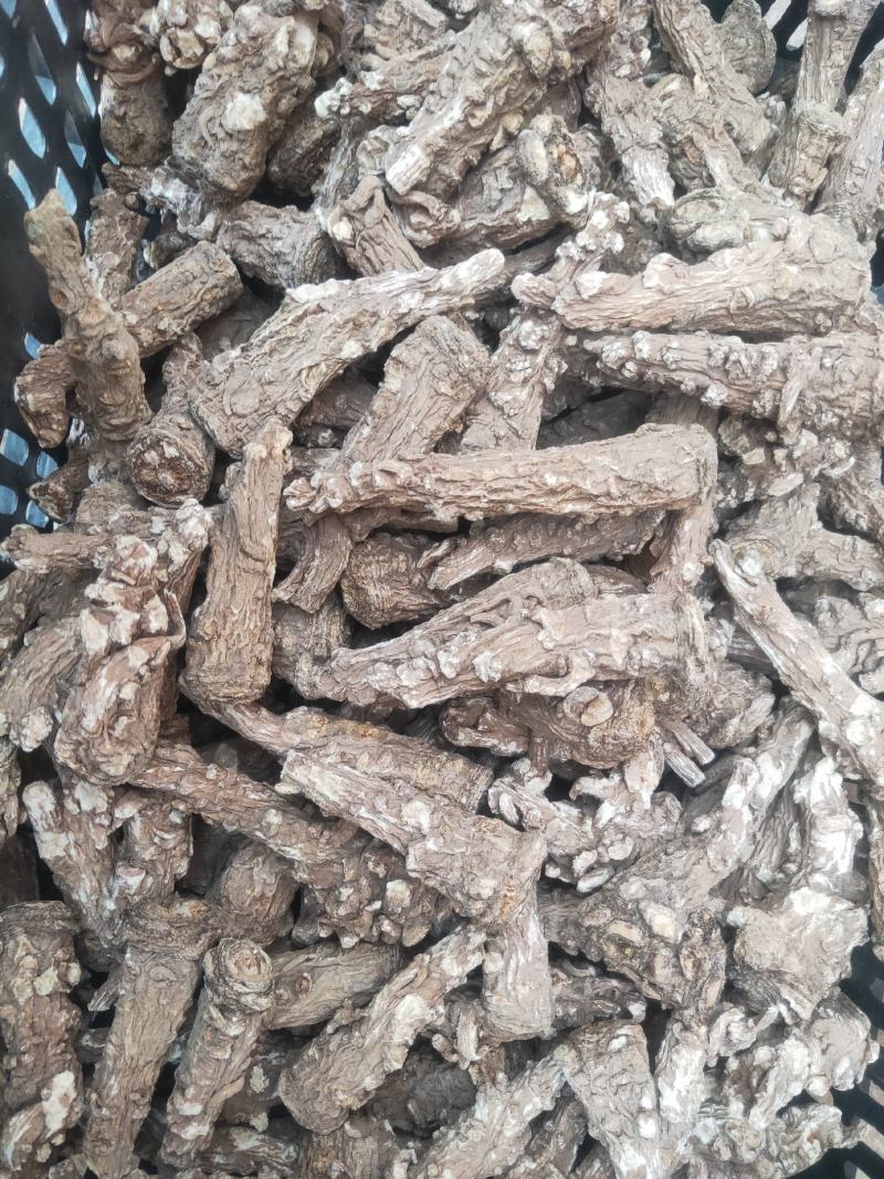 当归头甘肃岷县产地直供精选优质当归头