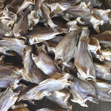 淡水鲈鱼干，颜色靓干度好，！