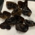 包邮小碗耳一级秋耳1.5新耳
