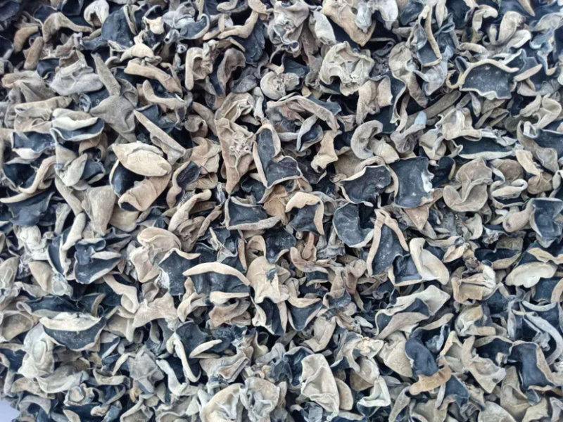 包邮小碗耳一级秋耳1.5新耳