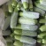 陕西精品茄子长茄子货源充足量大从优价格合理