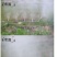 机动喷雾器喷头雾化省药不锈钢打药一条高压电动喷雾器喷头
